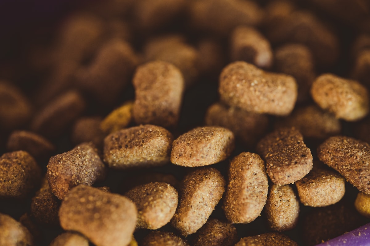 Mélanges de fruits secs et noix biologiques